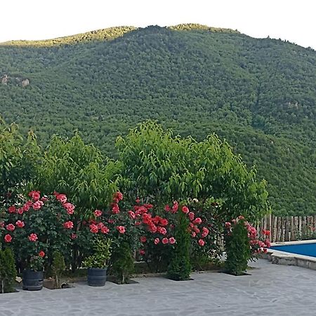 Green Garden Կանաչ Այգի إيجيفان المظهر الخارجي الصورة