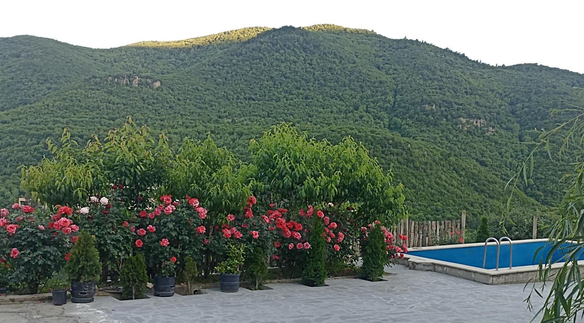 Green Garden Կանաչ Այգի إيجيفان المظهر الخارجي الصورة