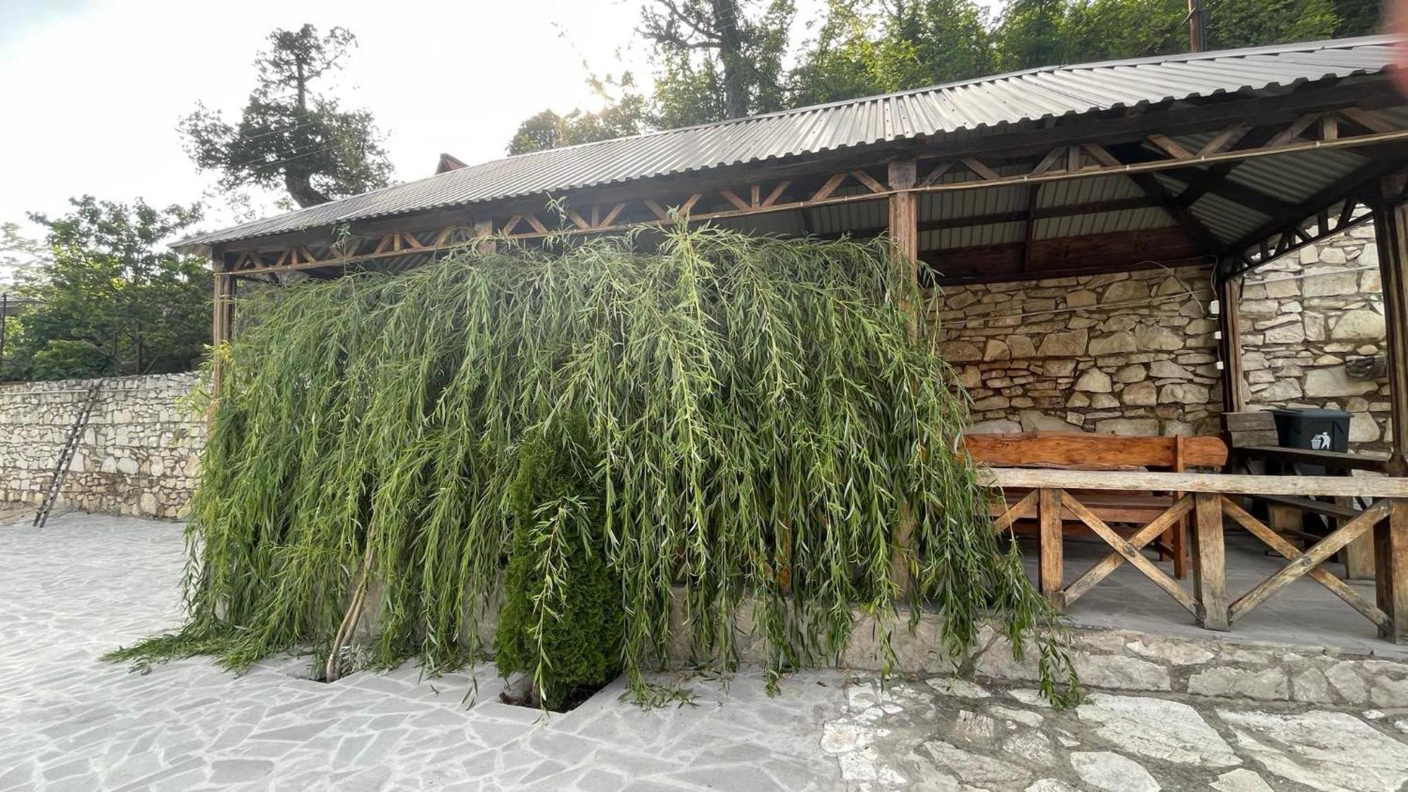 Green Garden Կանաչ Այգի إيجيفان المظهر الخارجي الصورة