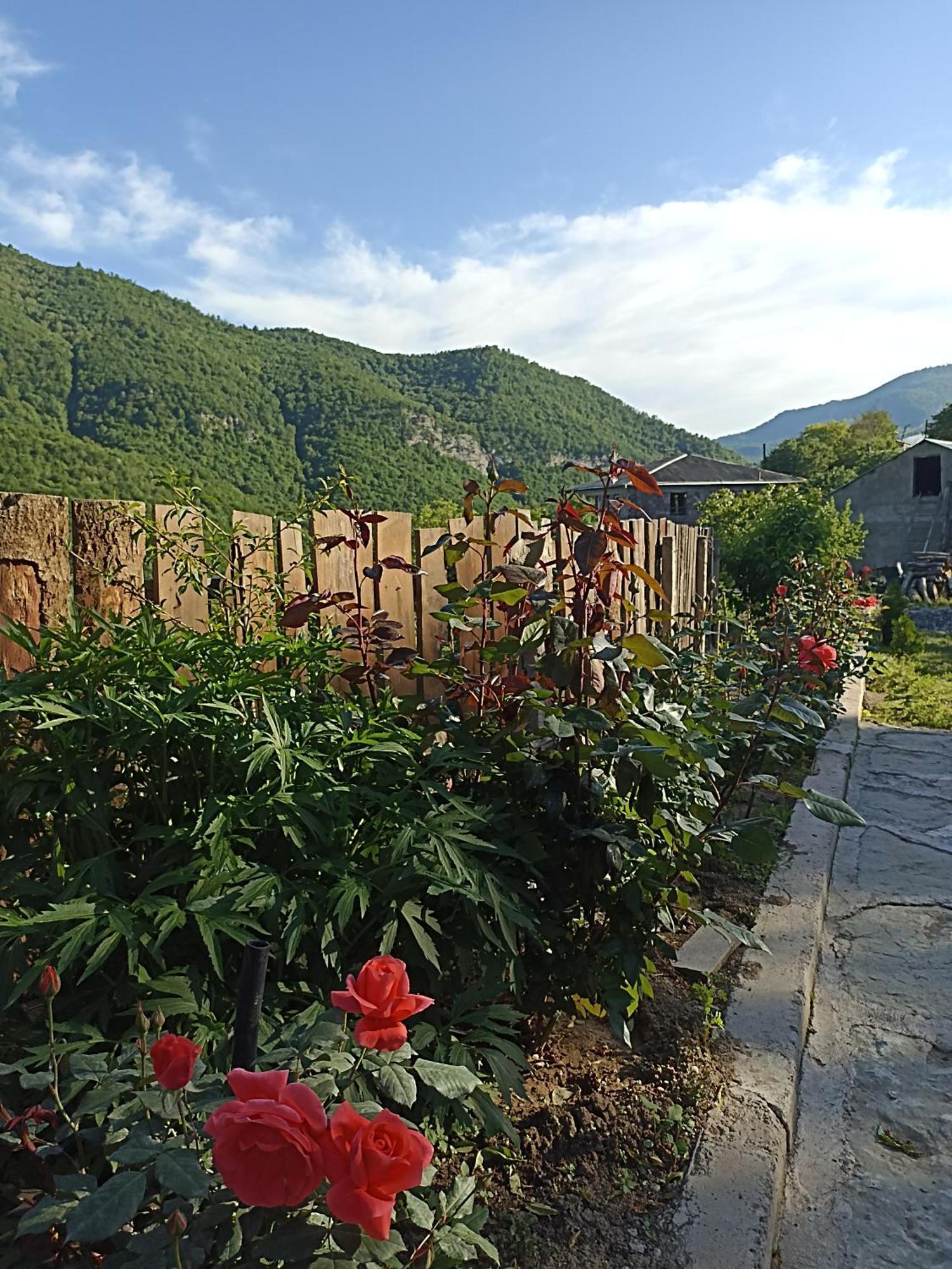 Green Garden Կանաչ Այգի إيجيفان المظهر الخارجي الصورة
