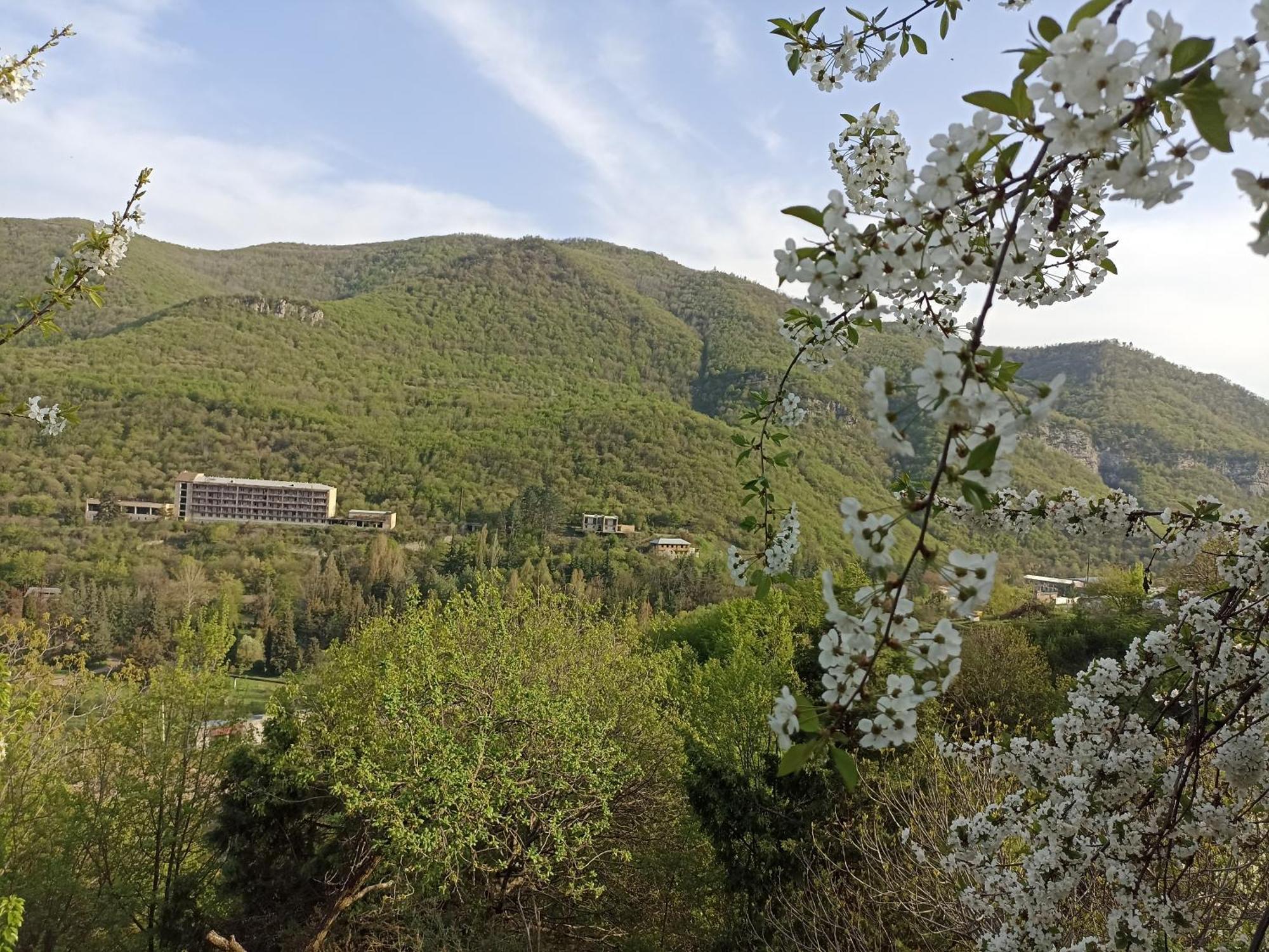Green Garden Կանաչ Այգի إيجيفان الغرفة الصورة